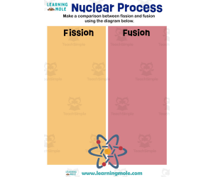 Nuclear Process Activity