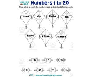 Numbers 1 to 20 Activity