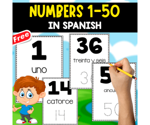 NUMBERS FLASHCARDS IN SPANISH | 1 TO 50 | FANTASTIC RESOURCE!