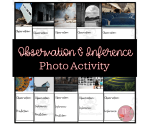 Observation and Photo Inference Activity