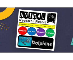 Ocean Animal Research Writing Project on DOLPHINS for K-2nd Grade