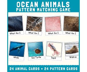 Ocean animal skin fur pattern matching cut match science activities