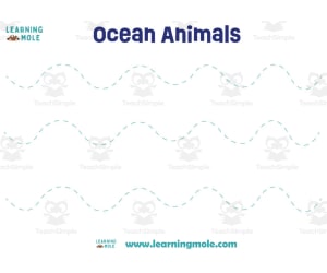 Ocean Animals Activity