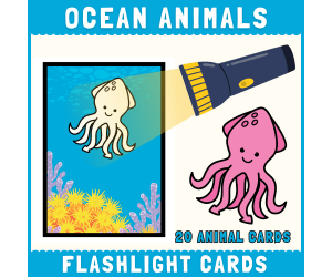 Ocean animals flashlight cards hidden picture science center activity