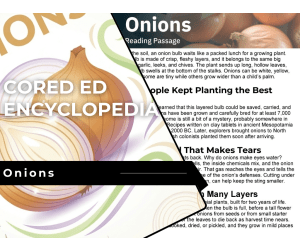Onions Reading Comprehension Passage - Cored Ed Encyclopedia