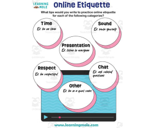 Online Etiquette Activity