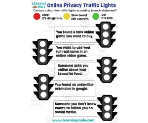 Online Privacy Traffic Lights Activity
