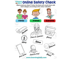 Online Safety Check Activity