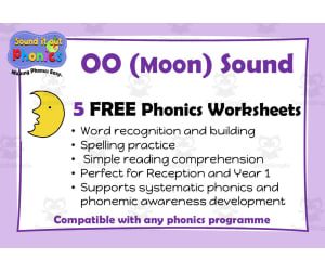 OO (Moon) Long Vowel/Vowel Team Phonics Worksheets