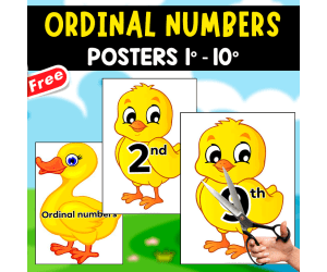 ORDINAL NUMBERS POSTERS | 1°-10° | CHICKEN THEMED
