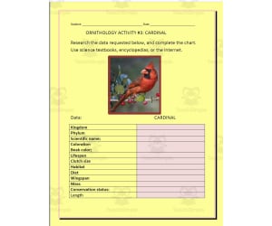 Ornithology: Cardinal - Research Project