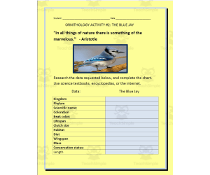 Ornithology: The Blue Jay - Research Project
