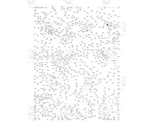 Ostrich Connect the Dots PDF