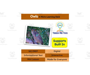 Owls | Interactive Science Lesson | Micro-Learning Deck