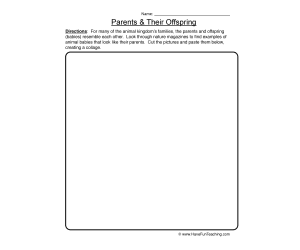 Parents Offspring Worksheet