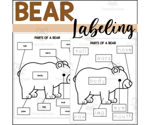 Parts of a Bear: Labeling a Bear