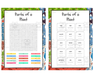 Parts of a Plant word search, scramble and crossword