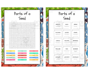 Parts of a Seed word search, scramble and crossword