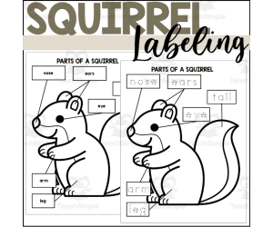 Parts of a Squirrel: Labeling a Squirrel