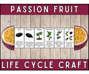 Passion Fruit Life Cycle Craft Foldable Science Cut and Paste Activity