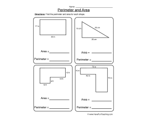 Perimeter Area Worksheet