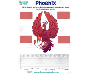 Phoenix Activity
