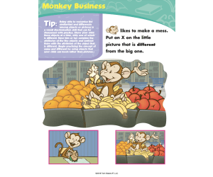Phonics for the Beginner Activity Book