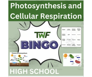 Photosynthesis and Cellular Respiration Science BINGO Activity