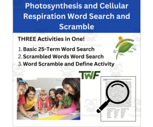 Photosynthesis & Cellular Respiration Word Search & Scramble Activity