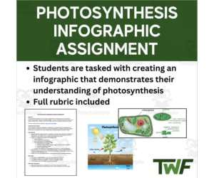 Photosynthesis Infographic Assignment