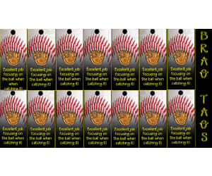 Physical Education Brag Tags: Catching