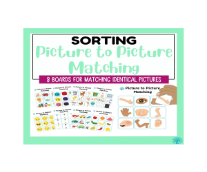 Picture to Picture Matching