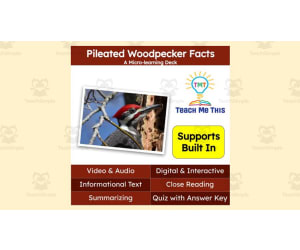 Pileated Woodpecker Facts | Interactive Science Lesson | Micro-Learning Deck