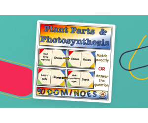 Plant Anatomy and Photosynthesis Dominoes Game - Middle School Science