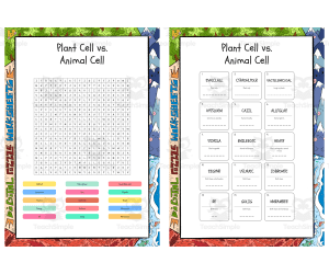 Plant Cell vs Animal Cell word search, scramble and crossword puzzle