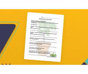Plant Needs Worksheet