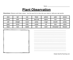 Plant Observation Worksheet