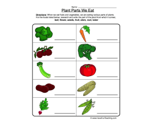 Plant Parts We Eat Worksheet
