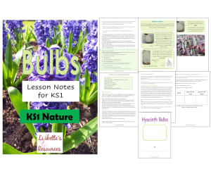Planting Bulbs