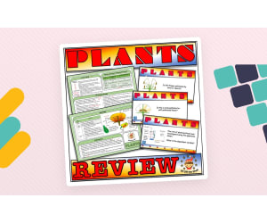 Plants-Anatomy, Life Cycle and Photosynthesis Test Prep Lesson - Middle School