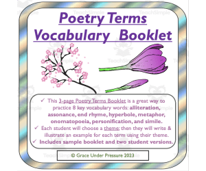 Poetry Terms Vocabulary Booklet: Alliteration, Personification, Simile, Metaphor, Hyperbole and More!