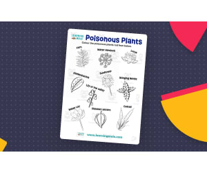 Poisonous Plants Activity