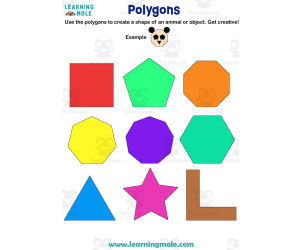 Polygons Activity