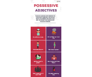 Possessive Adjectives | Beginner Lesson Plan