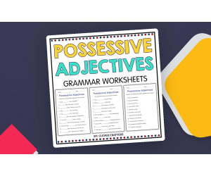 Possessive Adjectives Grammar Activity Worksheets for Grade 2, 3, 4