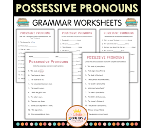 Possessive Pronouns Practice Grammar Activity Worksheets for Grade 2