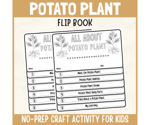 Potato Plant Flipbook Craft DIY Vegetable Science Study Writing Prompt