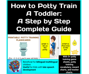 Potty Training Flash Cards, Charts, Games, Visual Supports and a Guide
