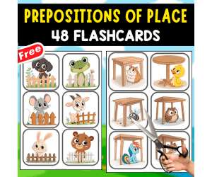 PREPOSITIONS OF PLACE | 48 FLASHCARDS
