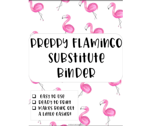 Preppy Flamingo Substitute Binder